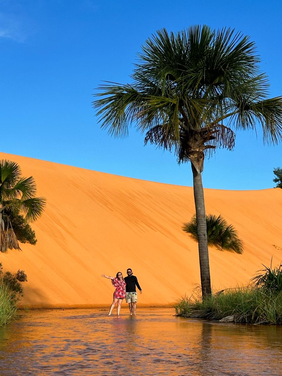 51b23769-5d7e-45b3-987f-300d804d742f