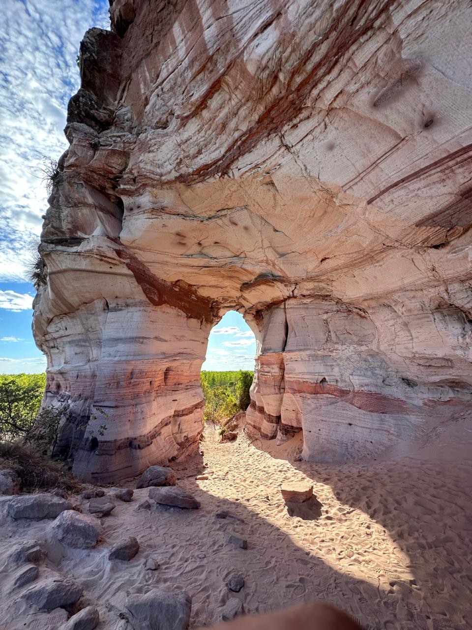 6a2f3678-b73c-4f35-9efd-910d613e7261