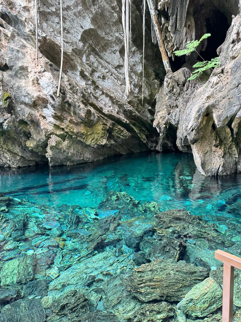 WhatsApp Image 2025-12-16 at 15.17.313