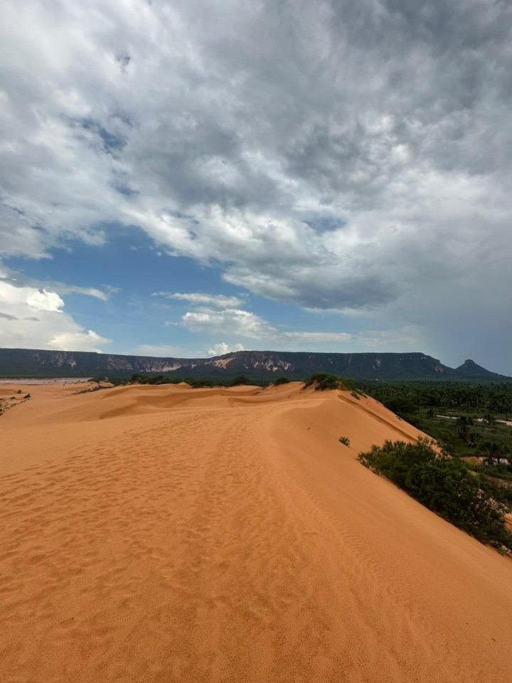 WhatsApp Image 2025-12-16 at 15.17.314