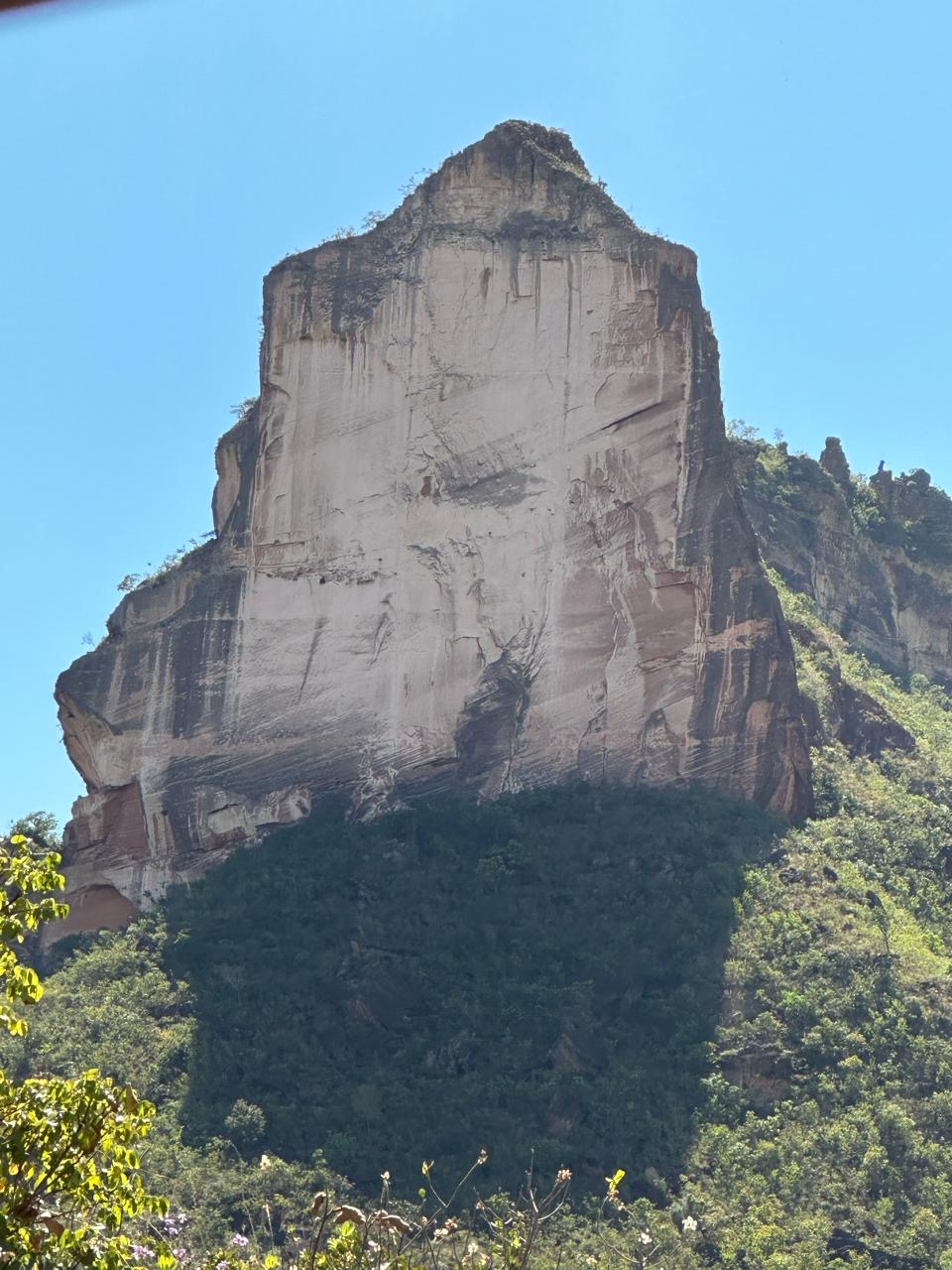 a47f9aa2-2761-4754-8cbc-e3926ec002b8